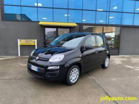 usato FIAT Panda