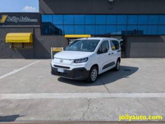 usato FIAT Doblo