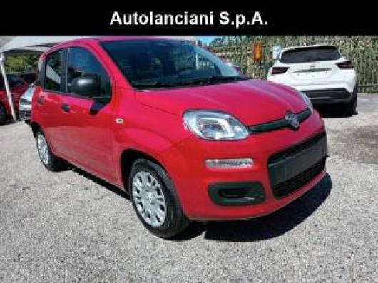 usato FIAT New Panda