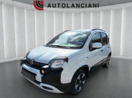 usato FIAT Pandina