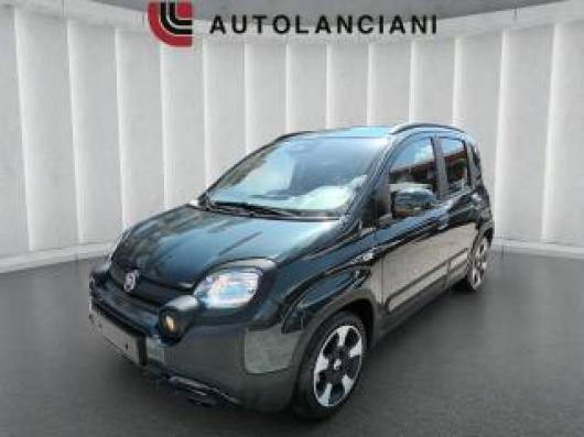 usato FIAT Pandina