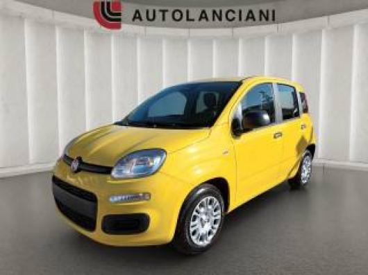 usato FIAT New Panda