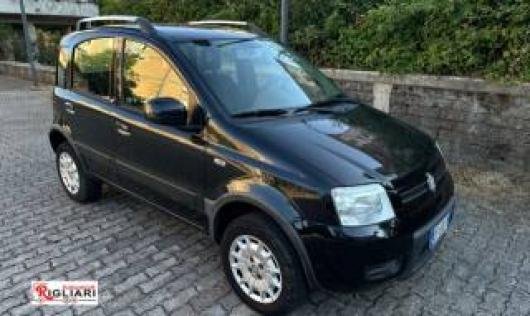 usato FIAT Panda