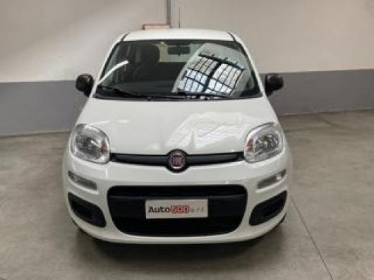 usato FIAT Panda