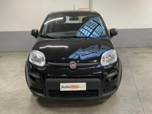 usato FIAT Panda