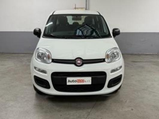 usato FIAT Panda