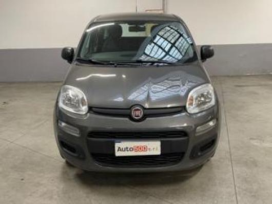 usato FIAT Panda