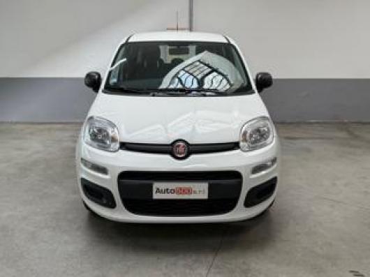 usato FIAT Panda
