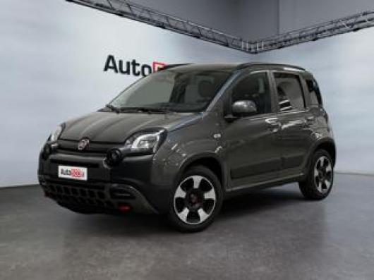 usato FIAT Panda