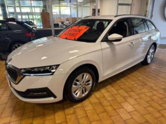 usato SKODA Octavia