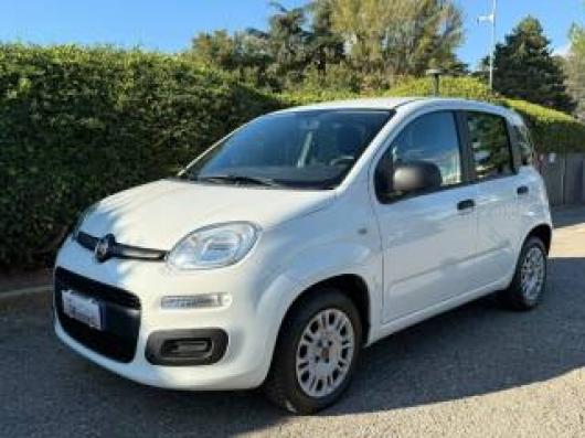 usato FIAT Panda