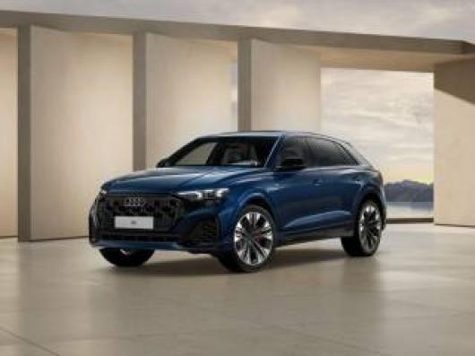 usato AUDI Q8