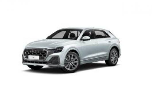 usato AUDI Q8