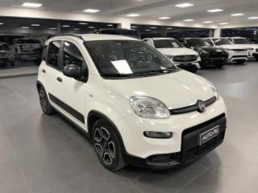 usato FIAT Panda