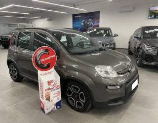usato FIAT Panda