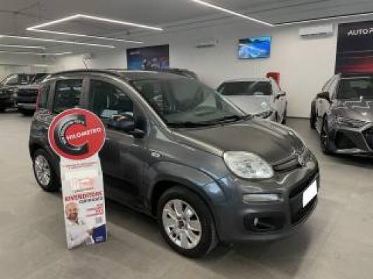 usato FIAT Panda
