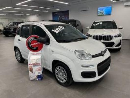Km 0 FIAT Pandina
