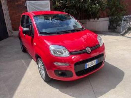 usato FIAT Panda