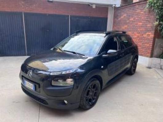 C4 Cactus