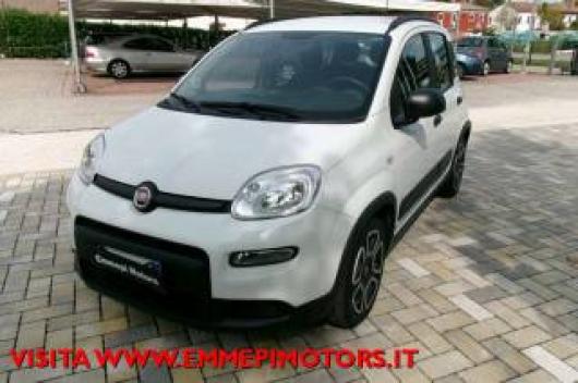 usato FIAT Panda