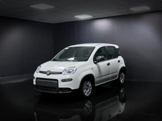 usato FIAT Panda