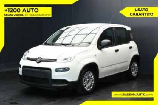 usato FIAT Panda