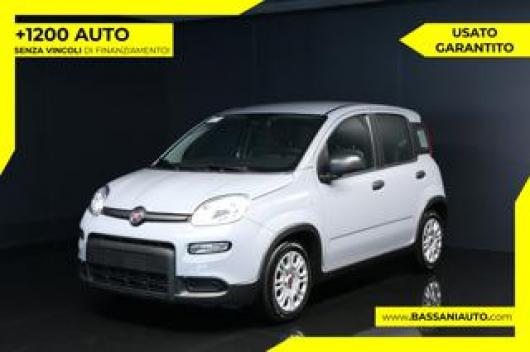 usato FIAT Panda