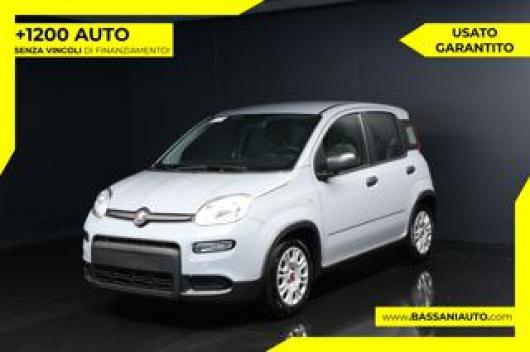 usato FIAT Panda