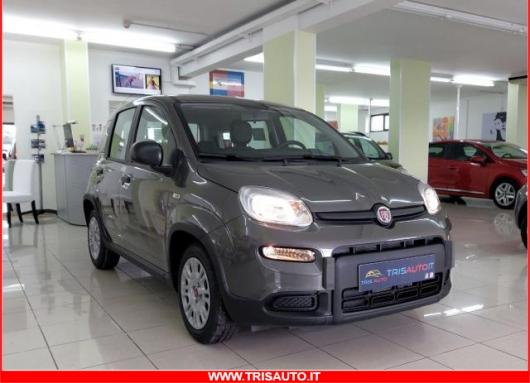 usato FIAT Panda