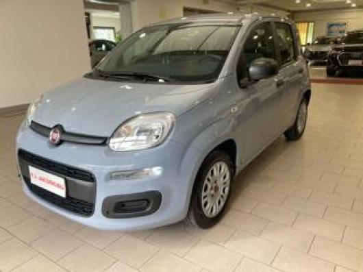 usato FIAT Panda