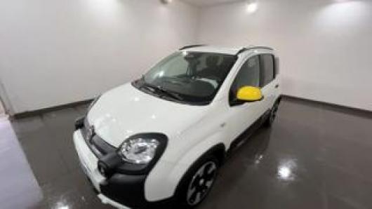usato FIAT Pandina