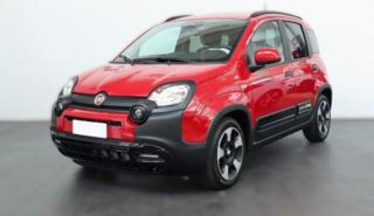 usato FIAT Pandina
