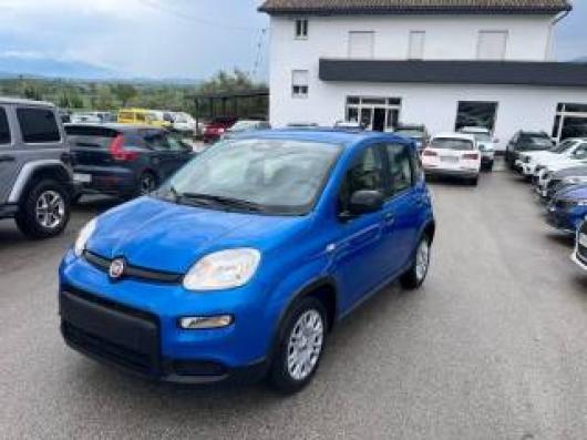 usato FIAT Pandina
