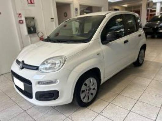 usato FIAT Panda