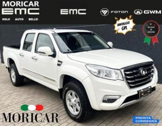 usato GREAT WALL Steed 6