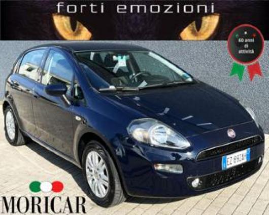usato FIAT Punto