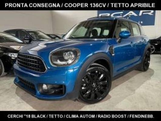 usato MINI Countryman