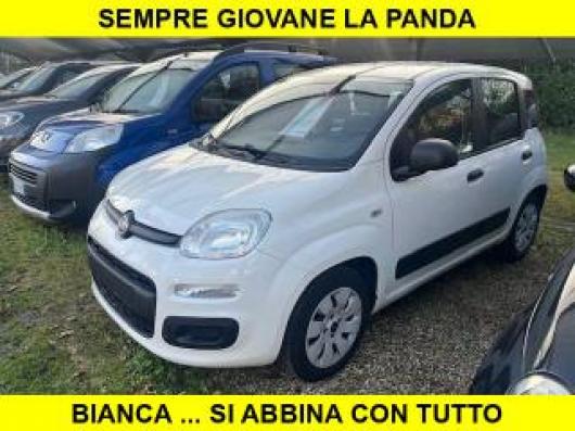 usato FIAT Panda