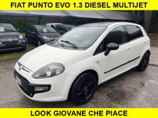 Punto Evo