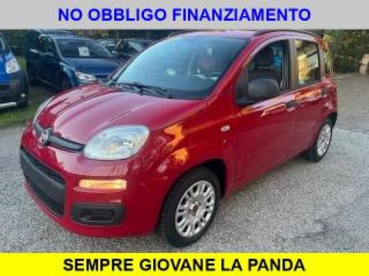 usato FIAT Panda