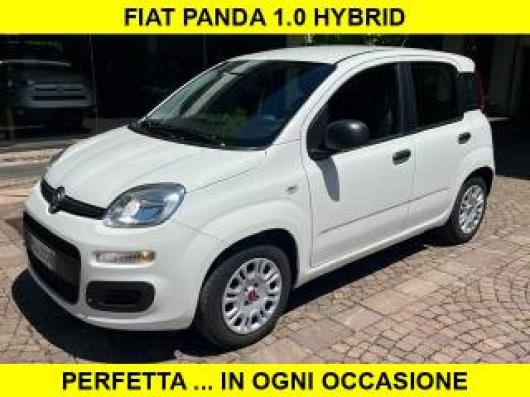 usato FIAT Panda