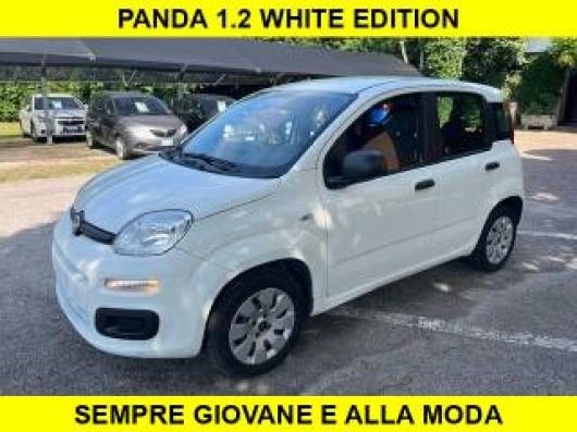 usato FIAT Panda