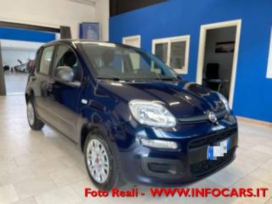 usato FIAT Panda