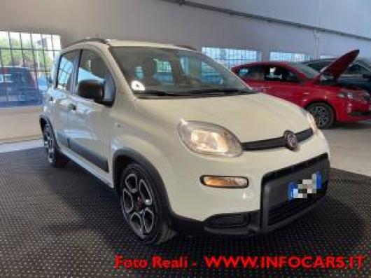 usato FIAT Panda