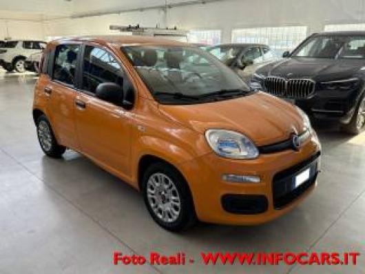 usato FIAT Panda