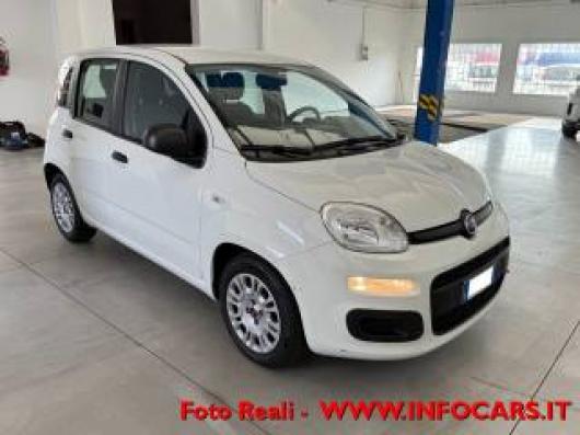 usato FIAT Panda