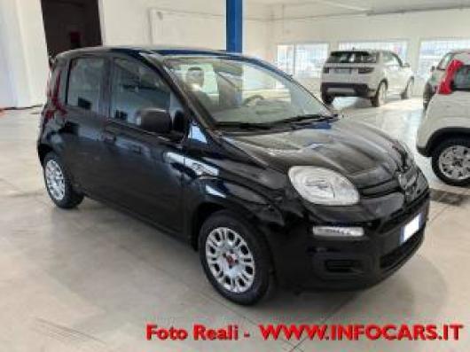 usato FIAT Panda