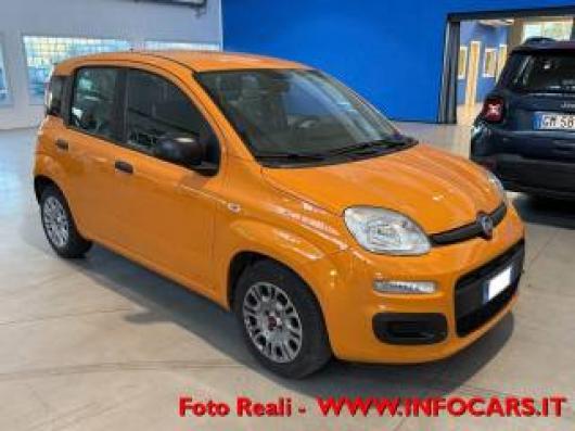 usato FIAT Panda