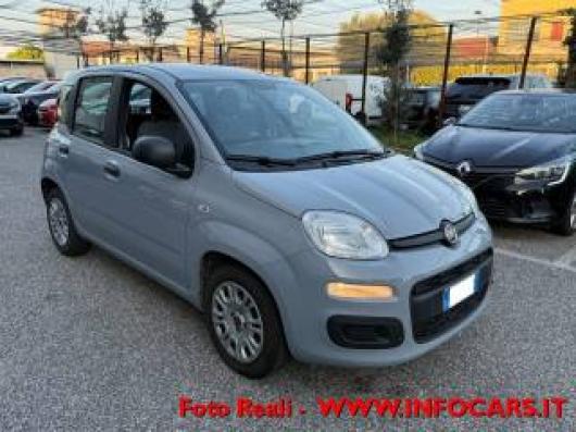 usato FIAT Panda