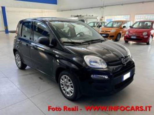 usato FIAT Panda